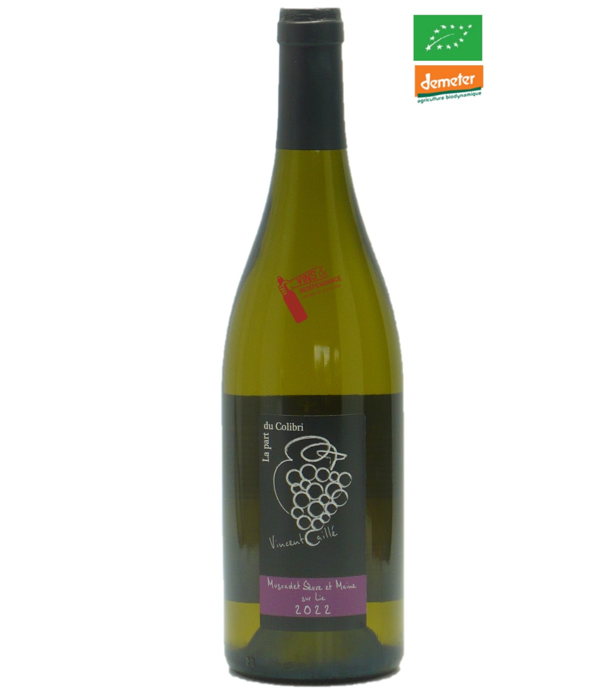 Domaine le Fay d'Homme Muscadet S et Msur Lie