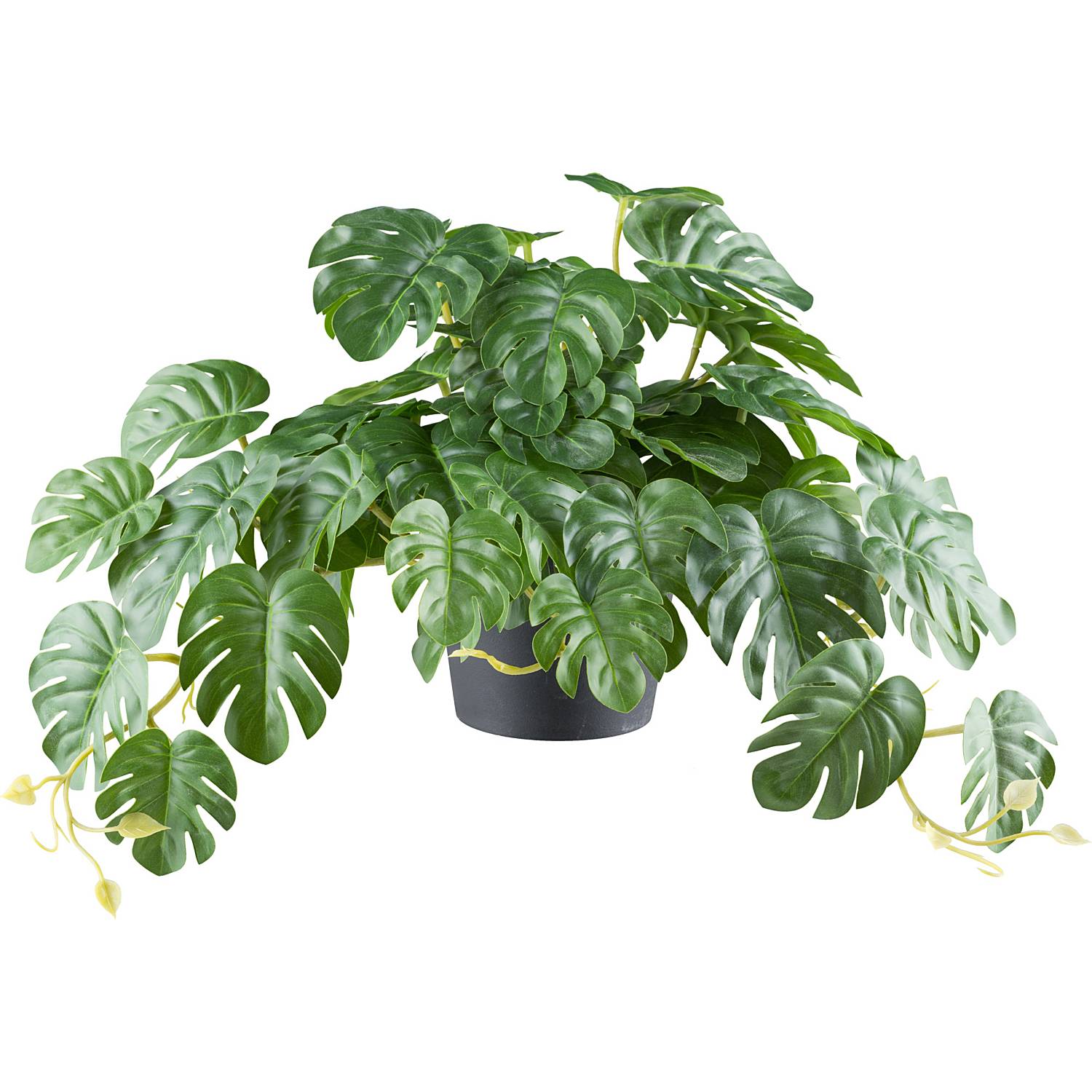Kunstpflanze Splitphilodendron