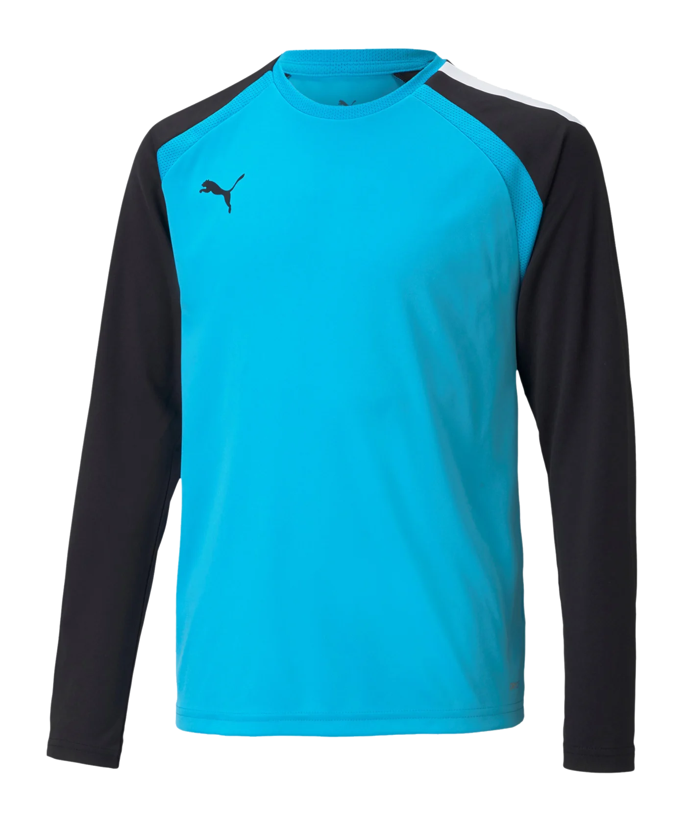 PUMA teamPACER Torwarttrikot langarm Kids F40