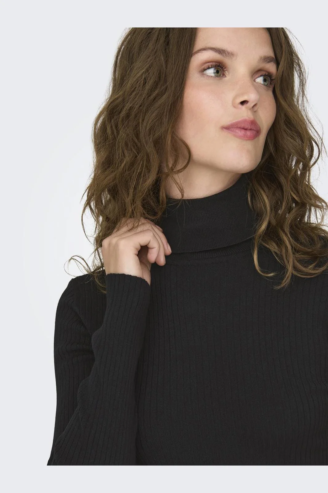 JDY JDYplum L/S Roll Neck Pullover Knt 4609030 black