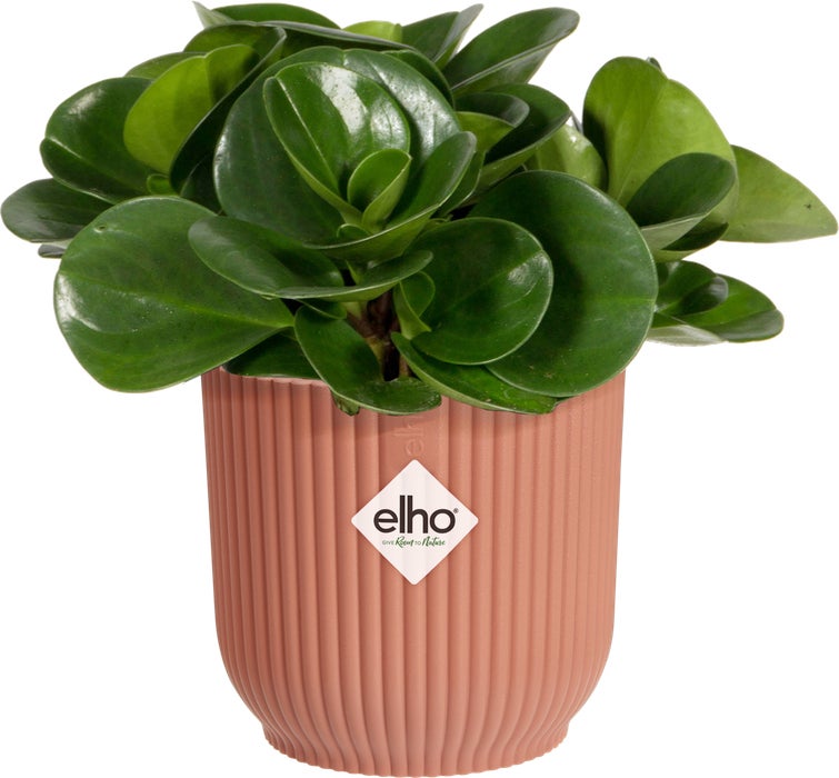 Elho bloempot Vibes roze D 11,1 H 10,5 cm