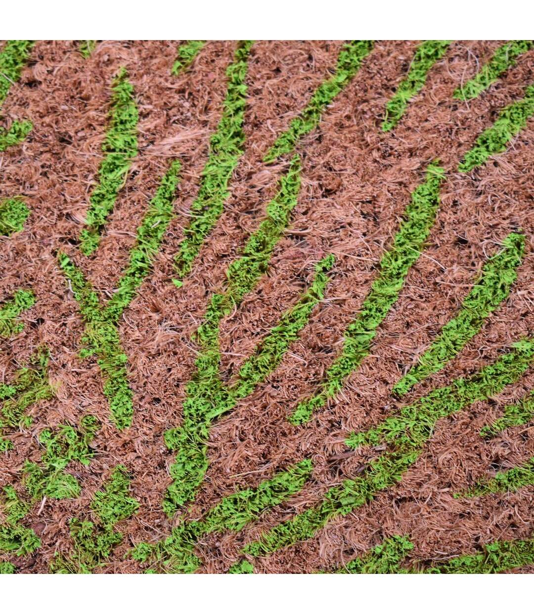 Paillasson COCO FEUILLE Beige 40x60 en coco idéal pour une entrée