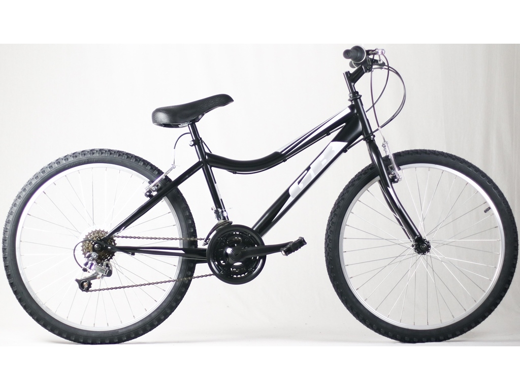 BICICLETA 24\
