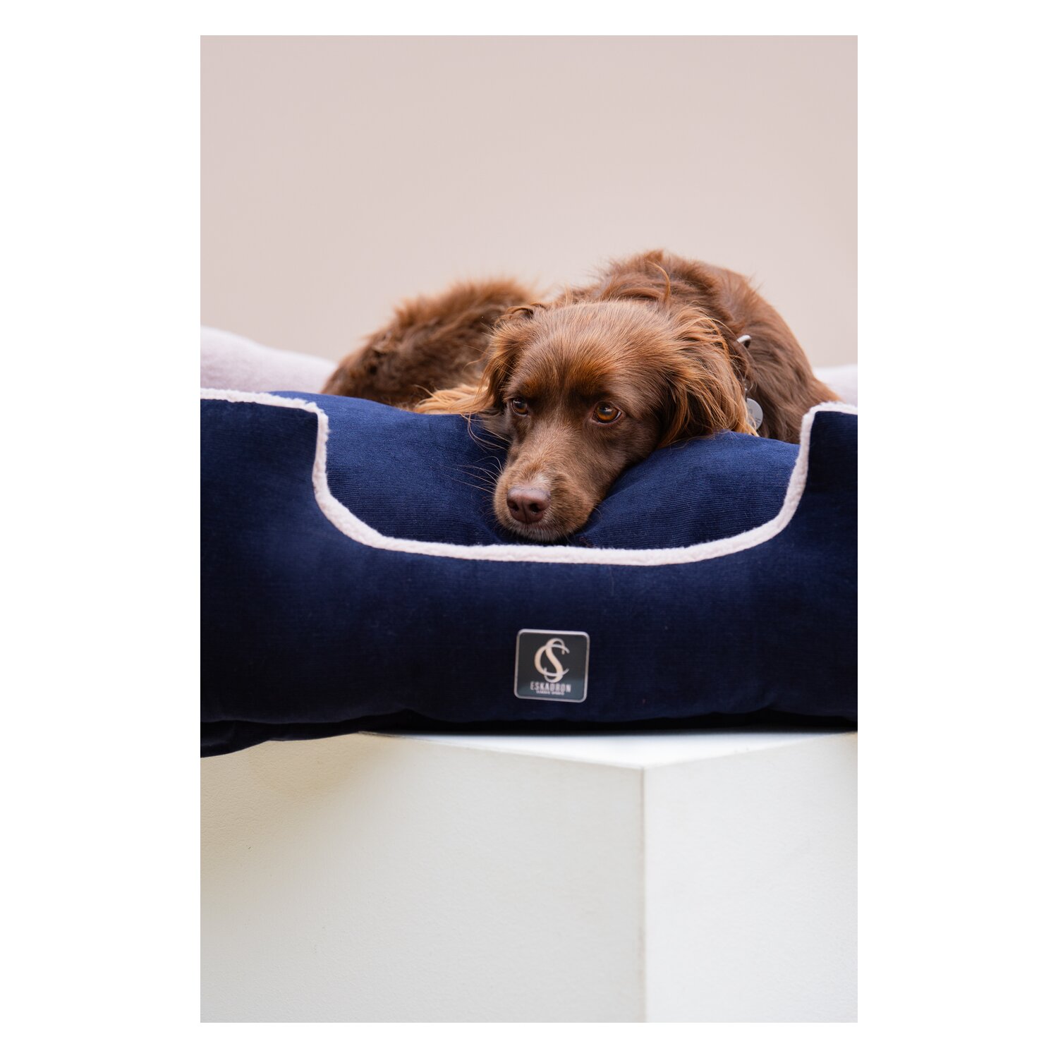 ESKADRON Classic Sports Hundebett Cord  - navy