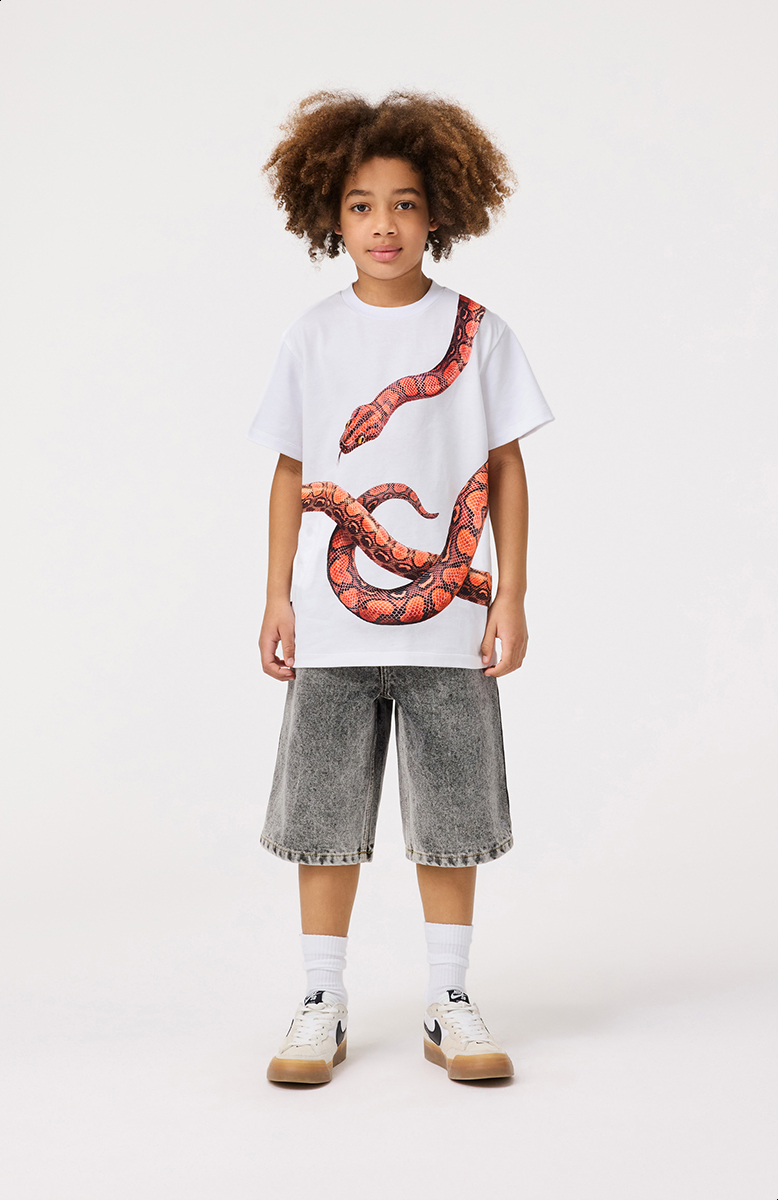 Rubin - Red Snake