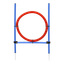 Agility-hoppring