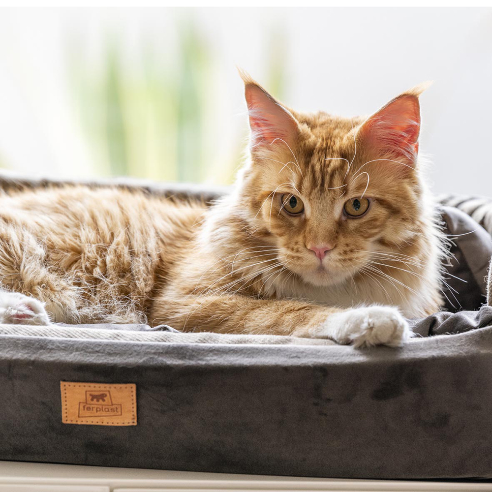 Couchage rembourré lit pour chiens et chats harris 65 lavable, avec coussin, tweed et velours, marron