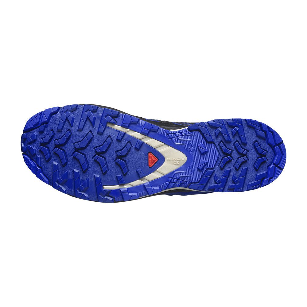 Salomon XA PRO 3D V9 GTX - Chaussures trail Homme blue print/surf the web/lapis blue