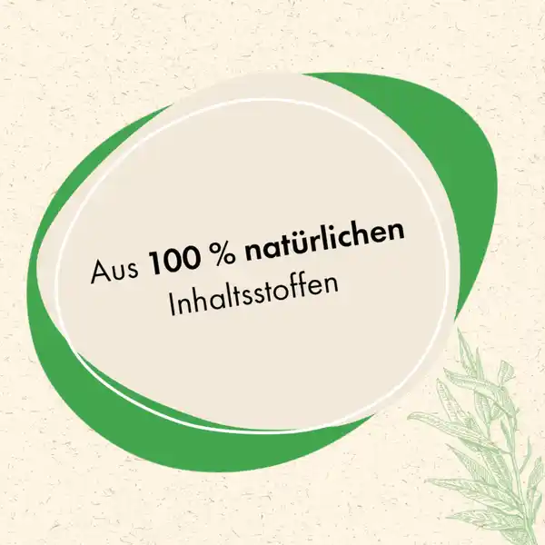 Spülmittel Grapefruit Eukalyptus