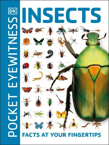 Pocket Eyewitness Insects: Facts at Your Fingertips - Pocket Eyewitness (Paperback)