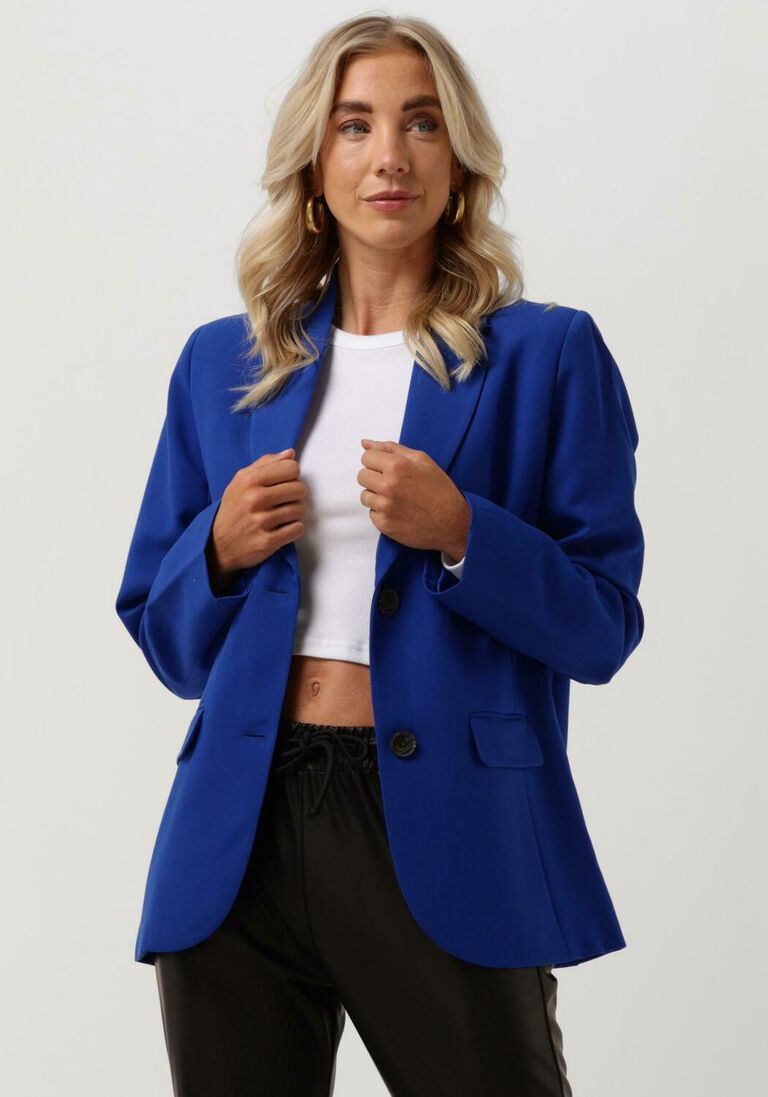 ENVII kobalt envii blazer enhorse blazer 6797