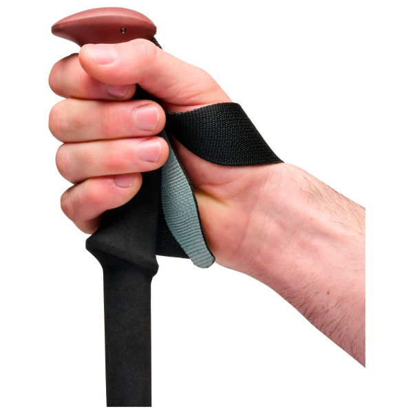 Black Diamond - Trail Trekking Poles - Bâtons de randonnée