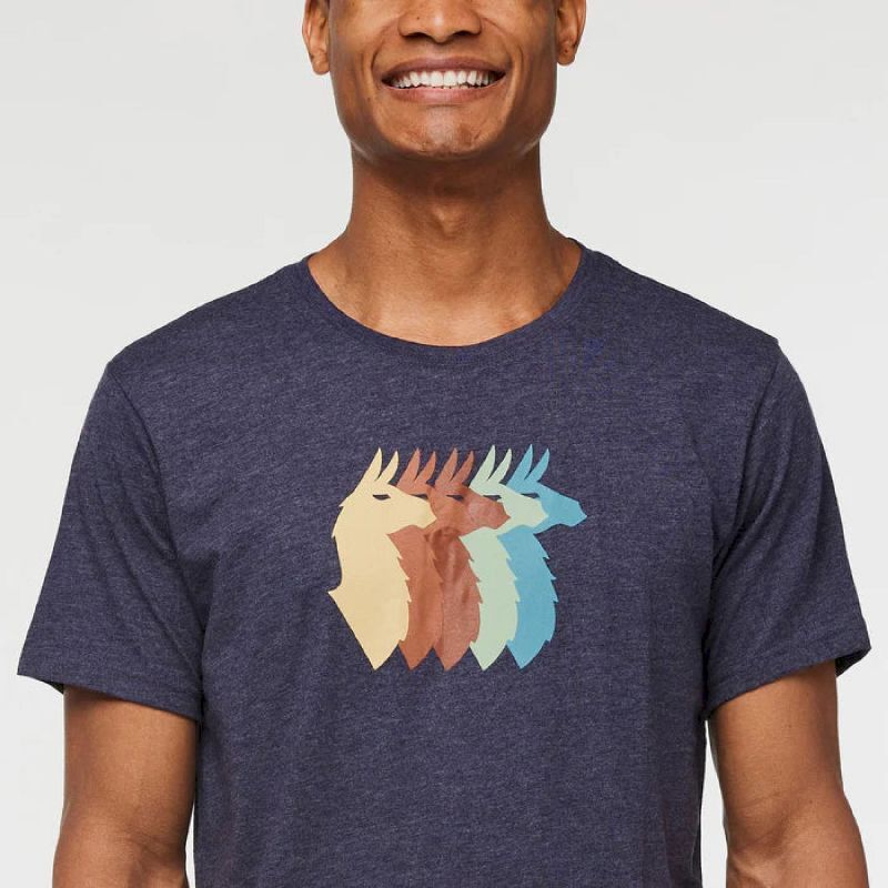 Llama Sequence Organic T-Shirt - T-shirt homme