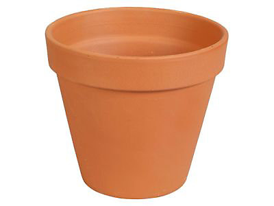 Pot brut en terre cuite ø 11 cm