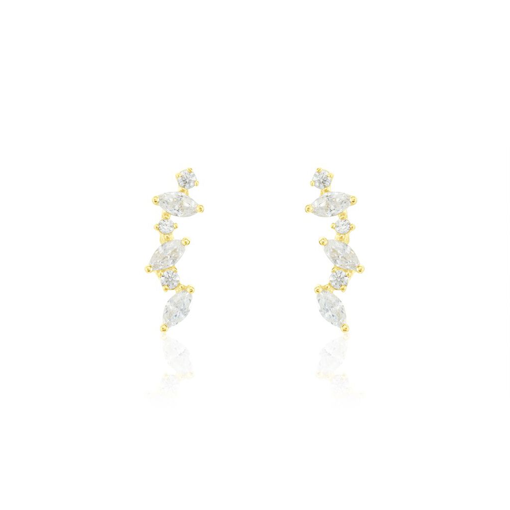 Boucles D'oreilles Puces Or Jaune Fortunella Oxydes De Zirconium