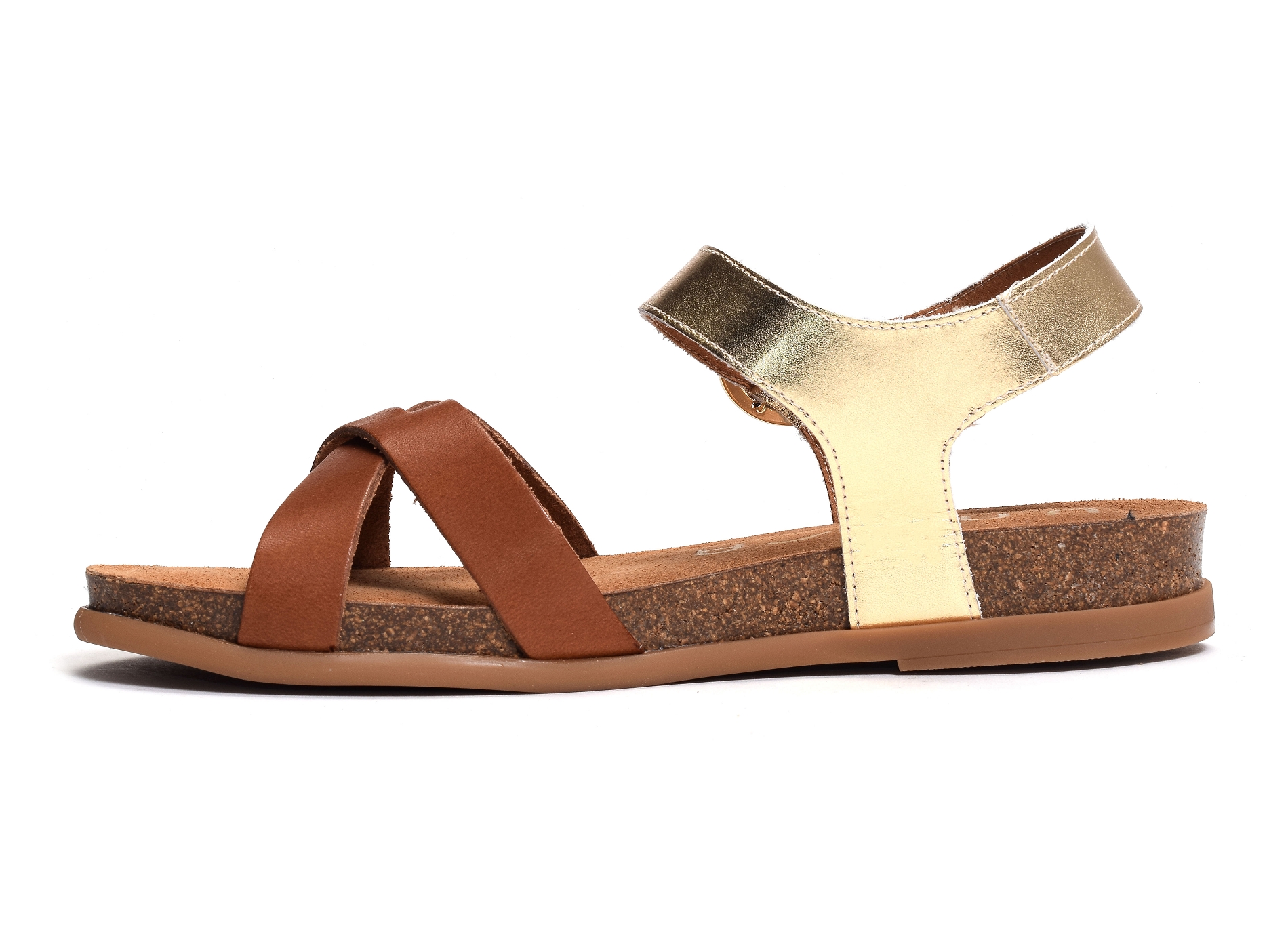 Cincel camel or