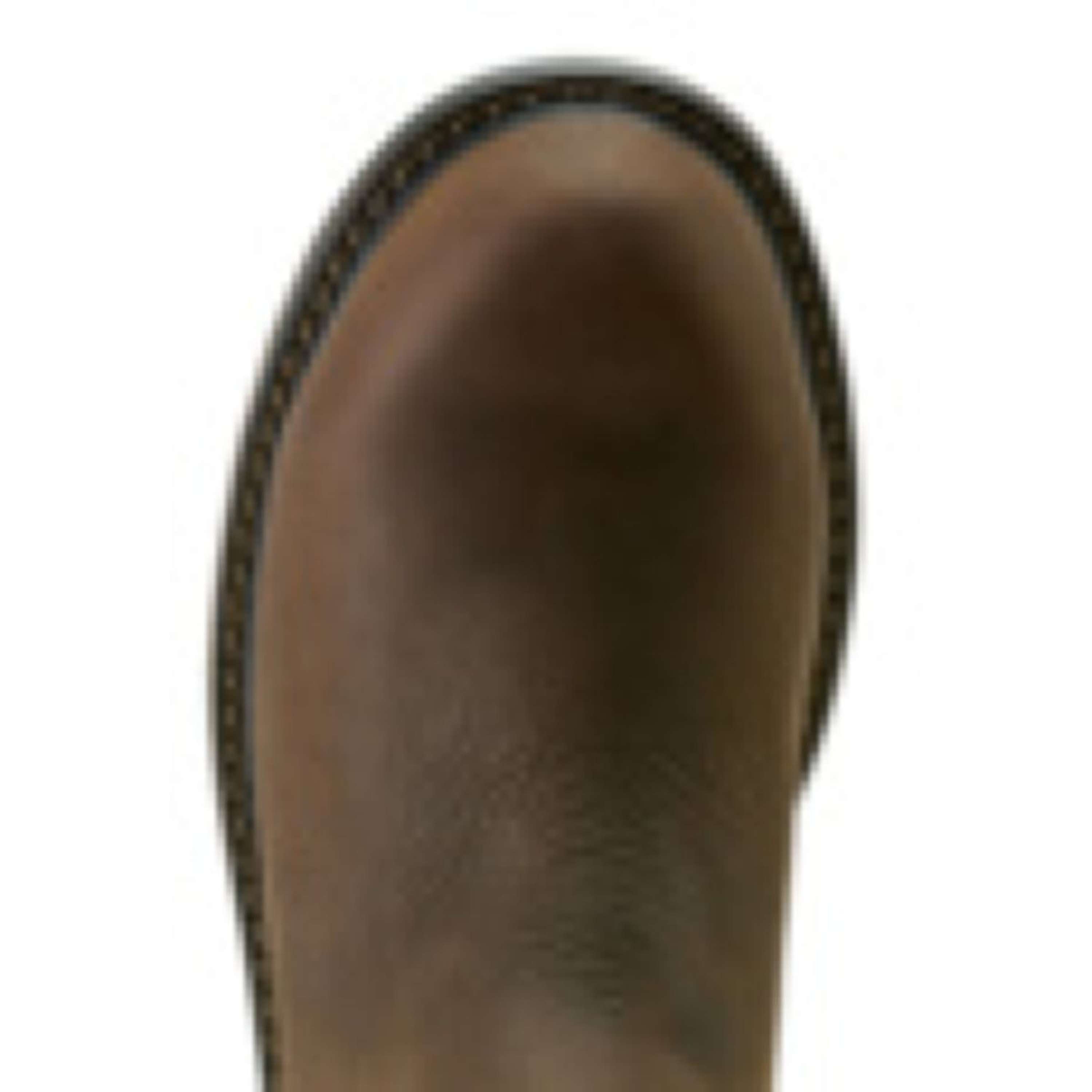 Ariat Jodhpurs Riverter Chelsea H20 Dames Donkerbruin