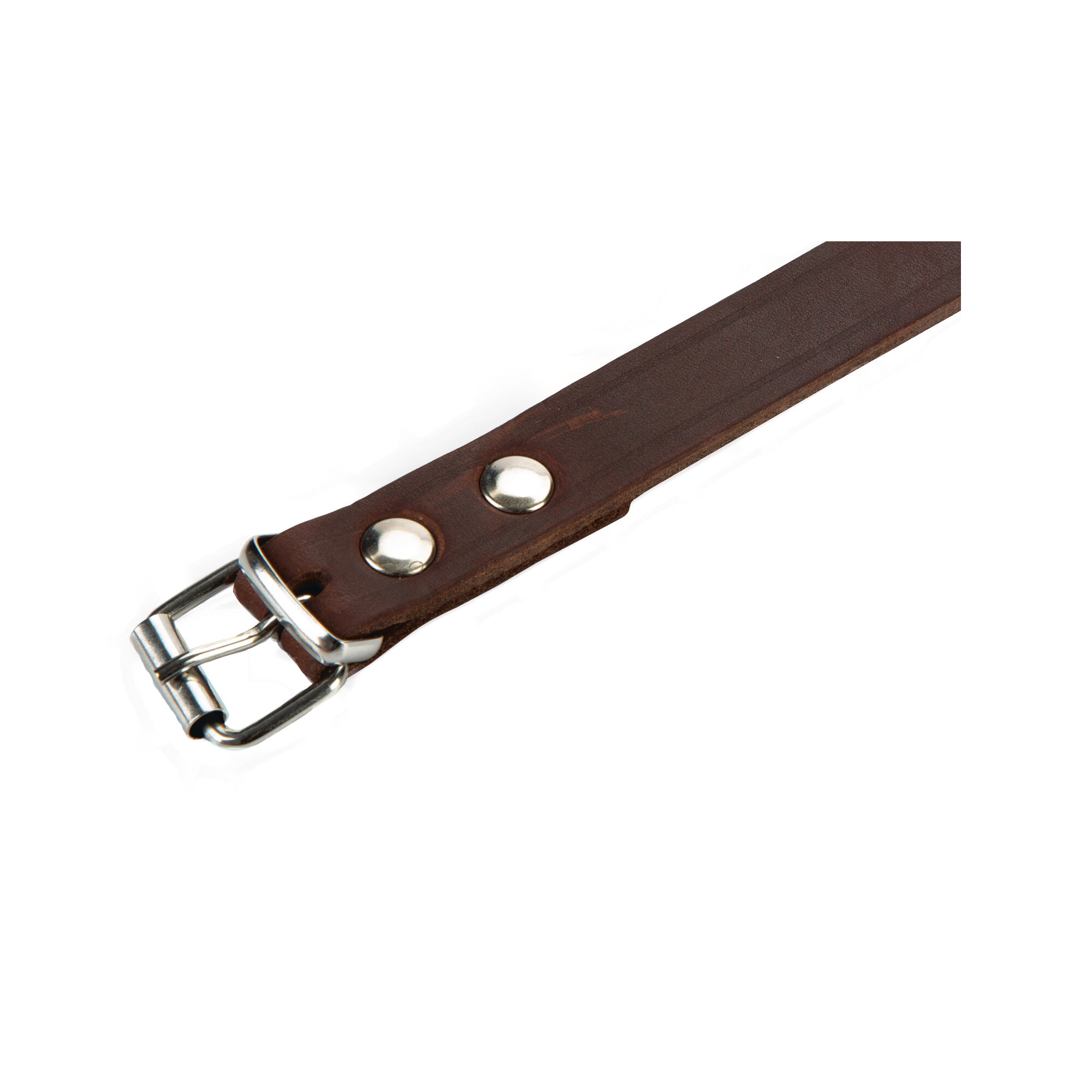 Beeztees Halsband Hond Leer