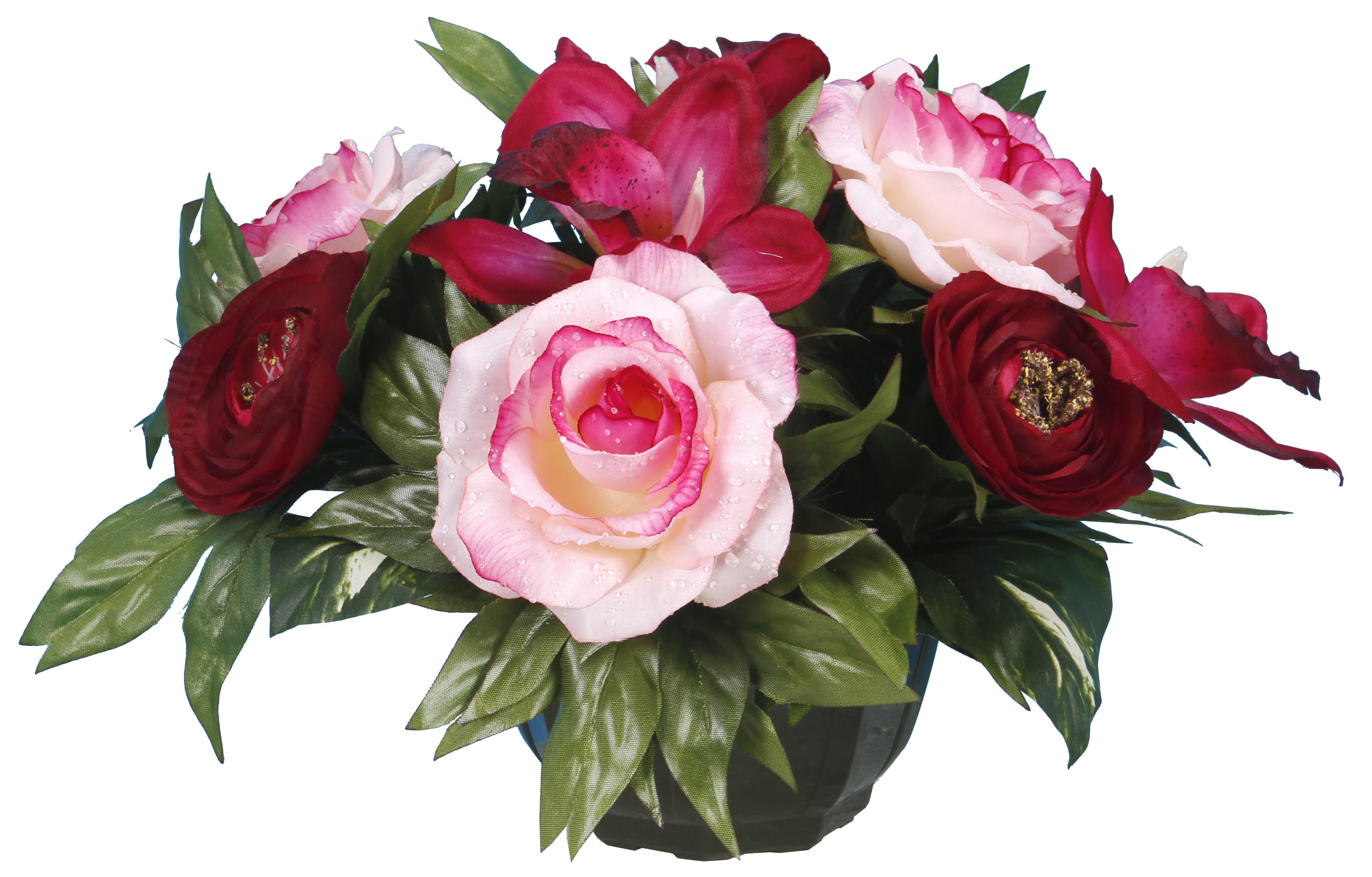 COUPE RENONCULE ROSE GOUTTES EAU