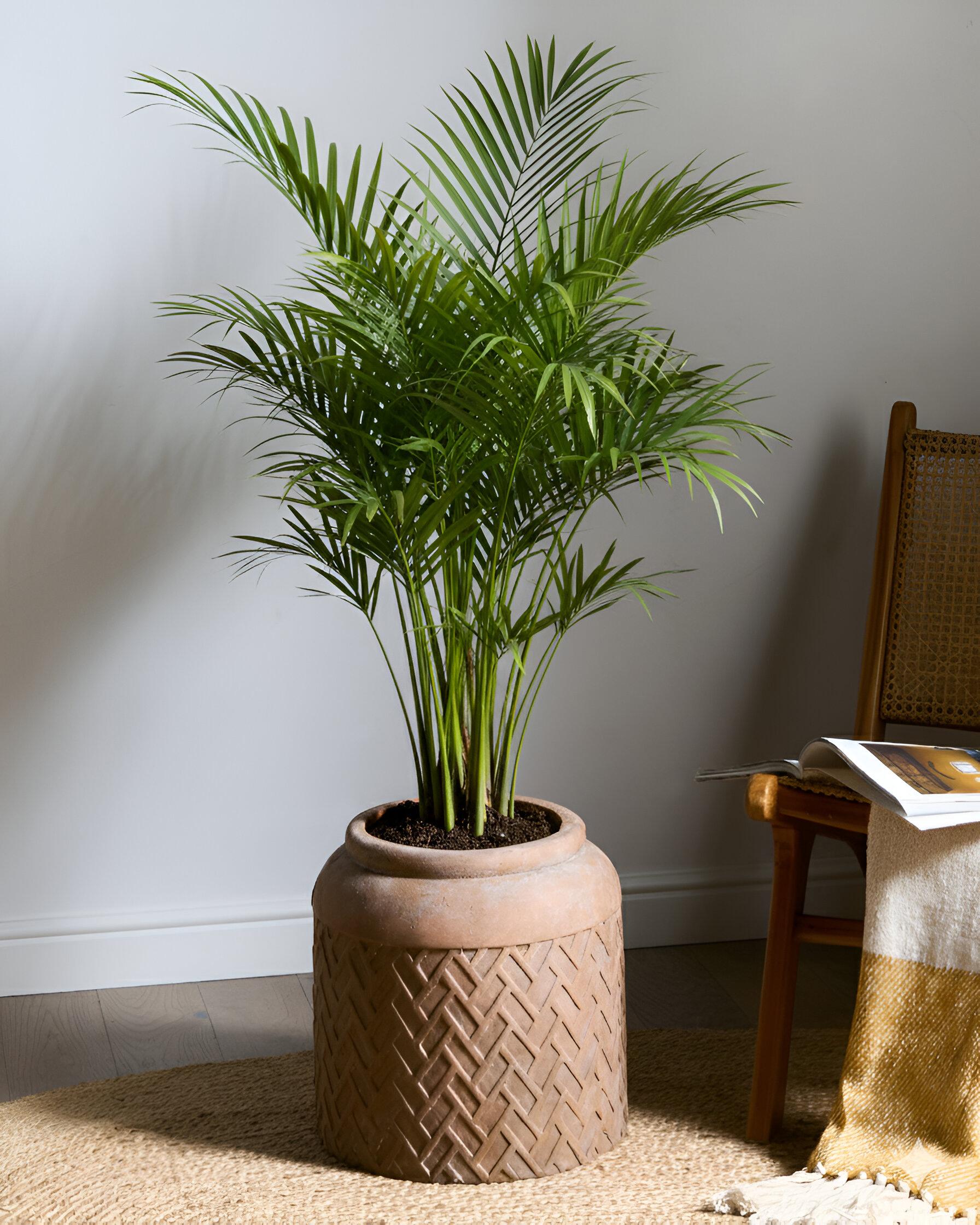 Bloempot GERAKAS 35 cm Beige