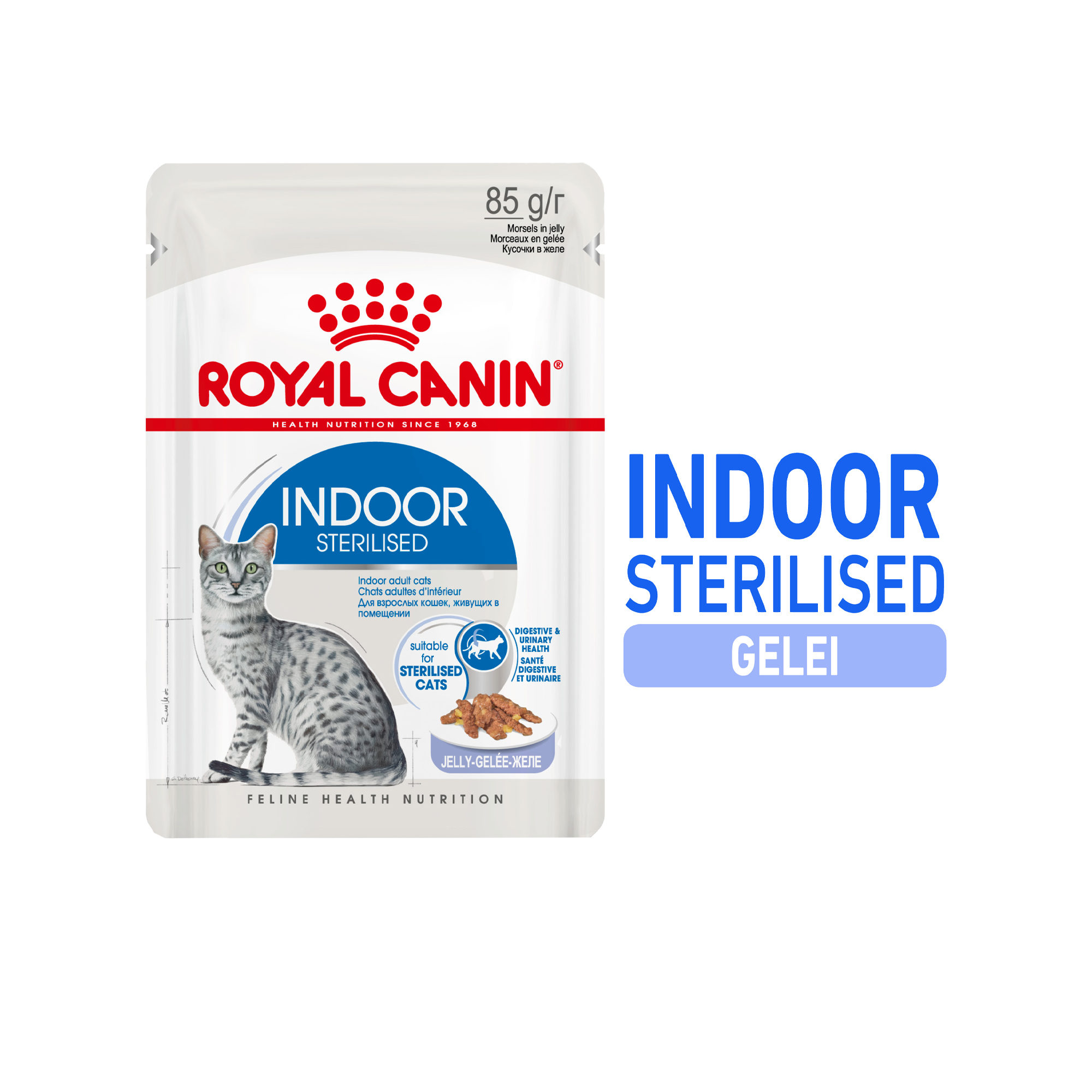 Royal Canin Sterilised Indoor in Jelly - Kattenvoer