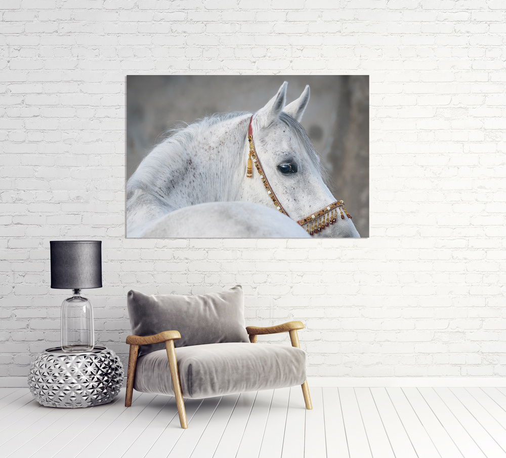 Akustikbild ARABER HENGST 80x120cm, 7kg