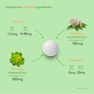 Valdispert Stemming Dragees 40ST