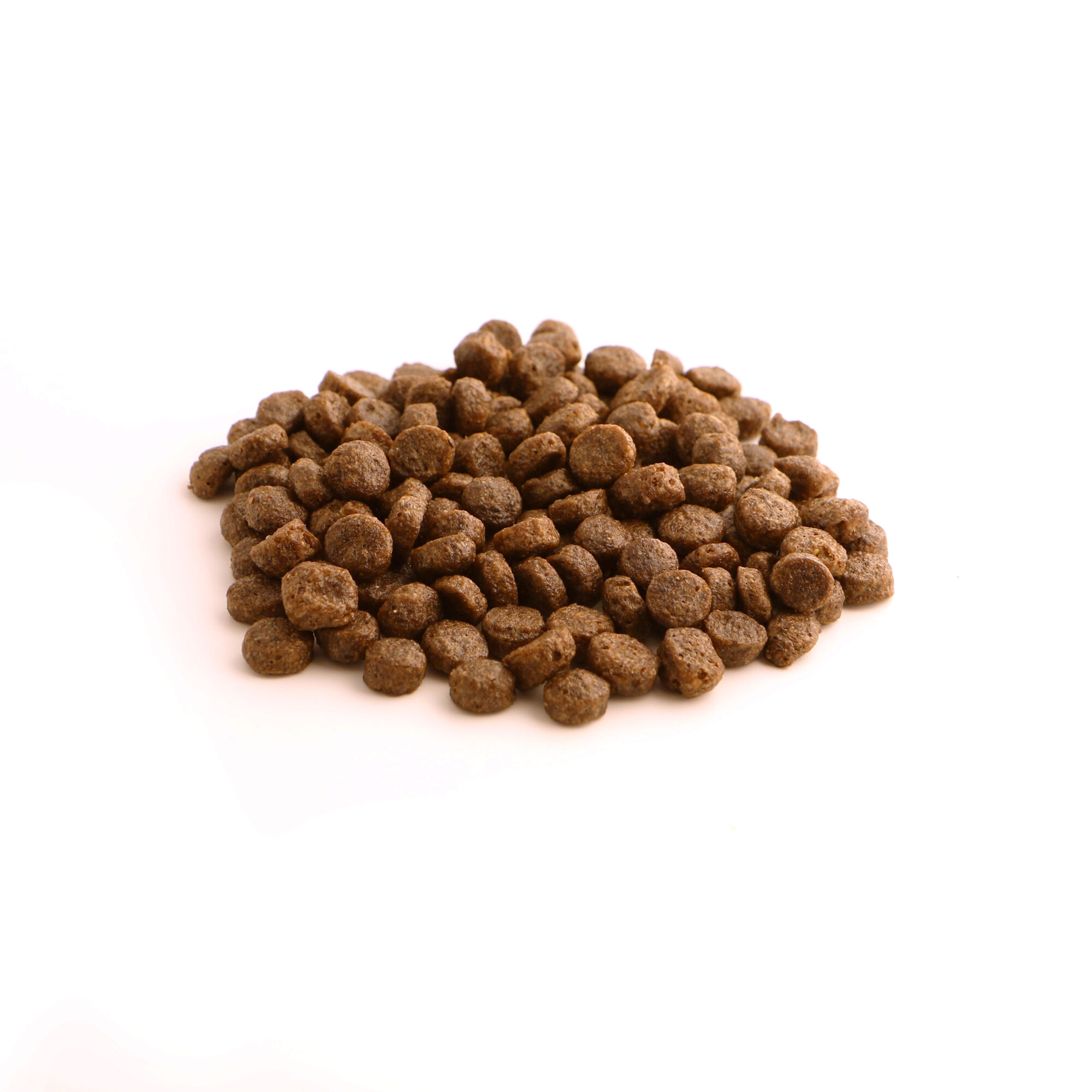 Fish4Dogs Finest Puppy Zalm met Zoete Aardappel