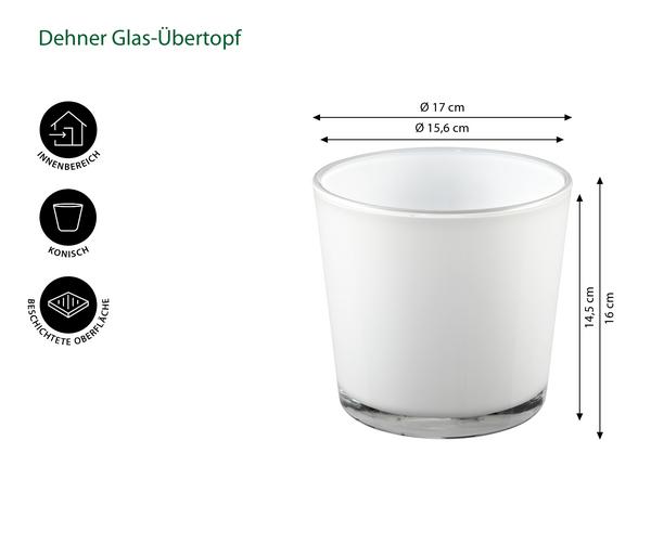 Dehner Glas-Übertopf Conner, konisch