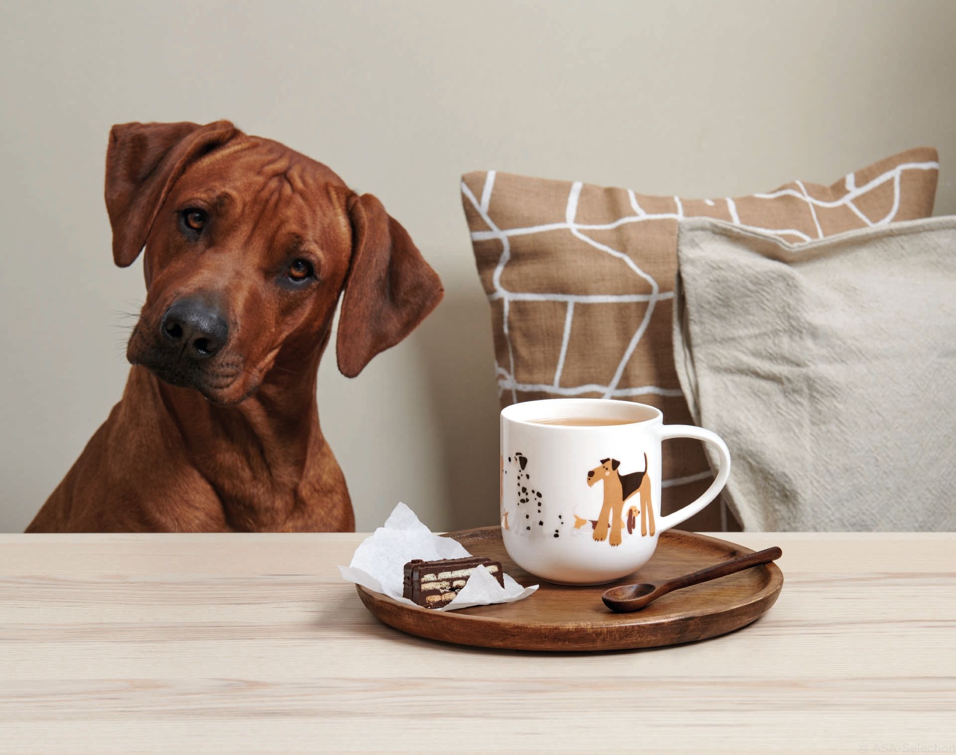 Henkelbecher COPPA Basset Hund