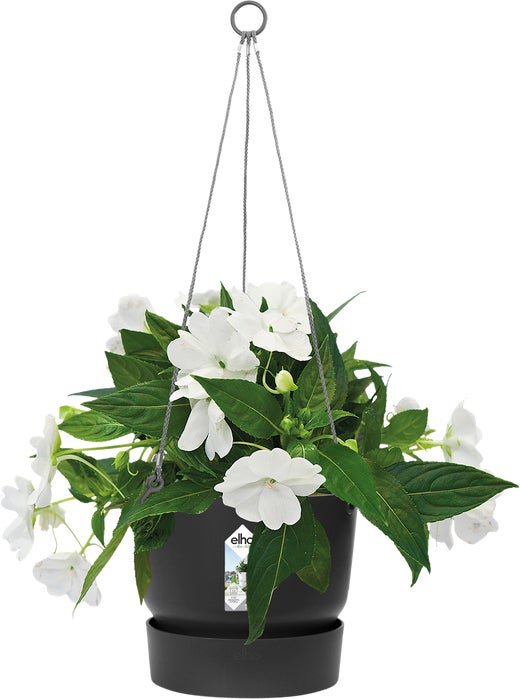 Elho hangpot Greenville zwart D 23,5 H 20,5 cm