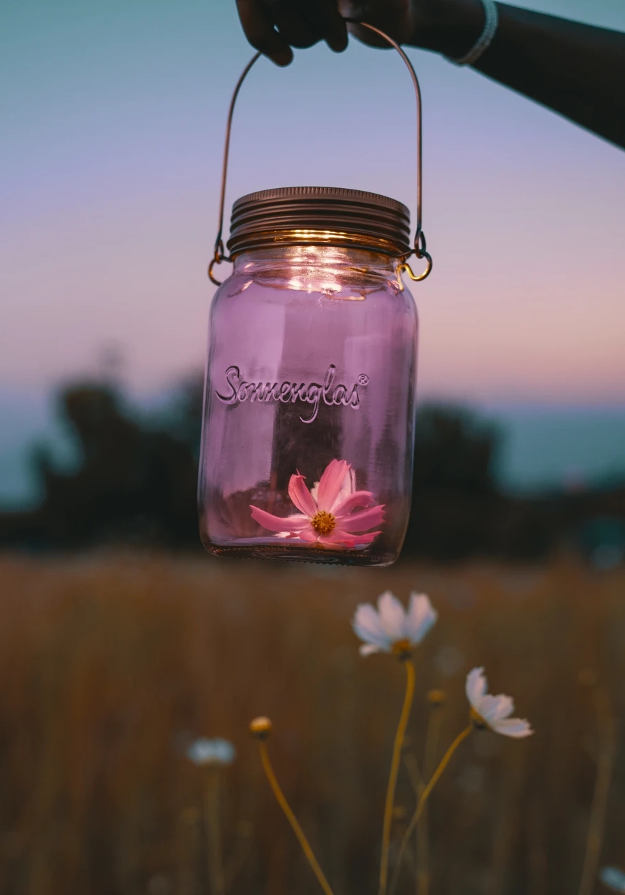 Sonnenglas Solarlampe Lilac Edition Lila