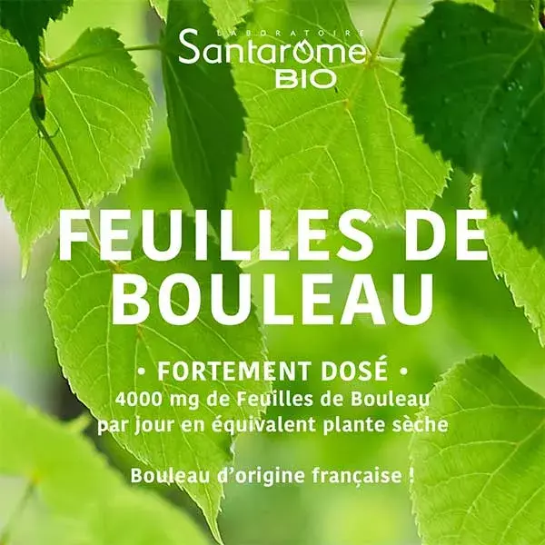 Suco de Bétula Orgânico Santarome - Drena e Desintoxica - 200ml