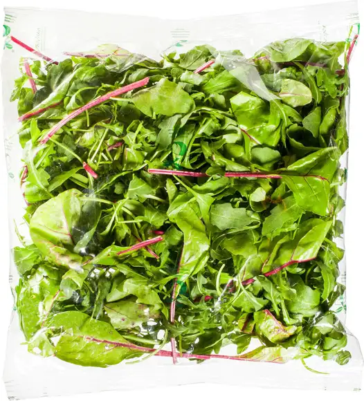 Rucola melange