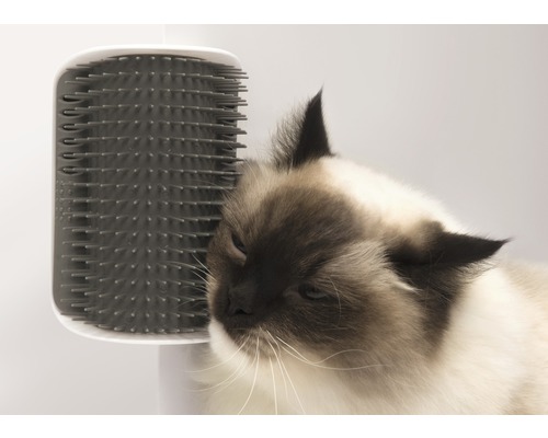Cat it Senses 2.0 Self Groomer borstel met kattenkruid