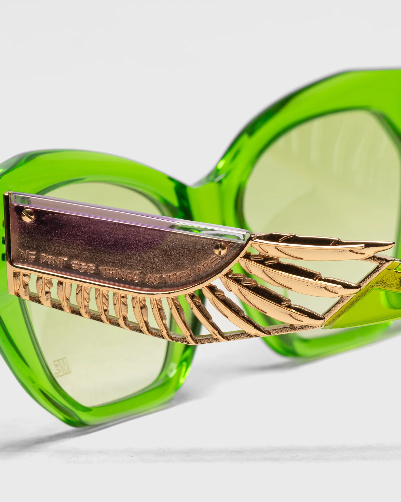 Melody Ehsani Ancient Future Sunglasses