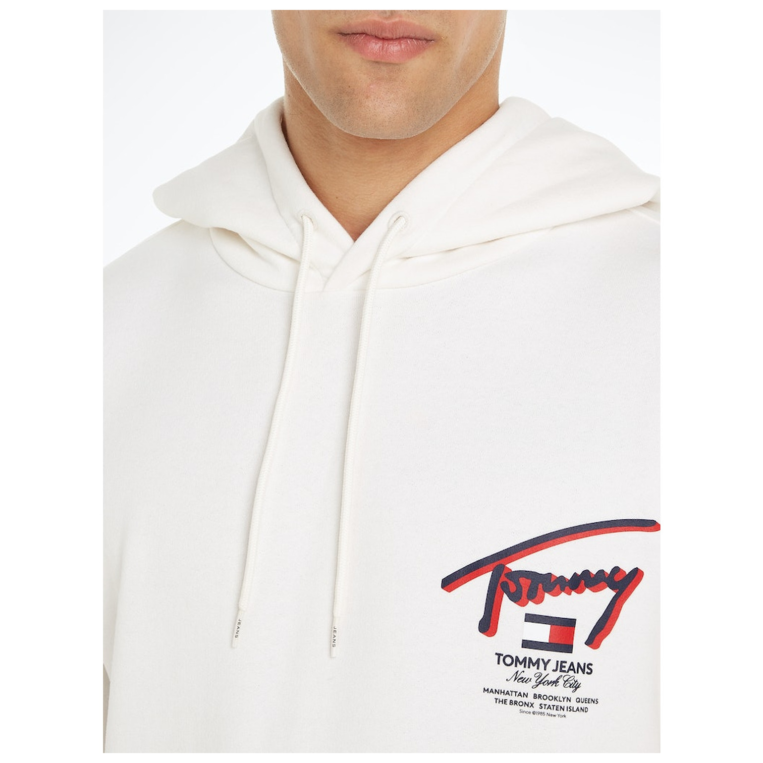 Tommy Jeans TJM REG 3D STREET TJ HOOD EXT