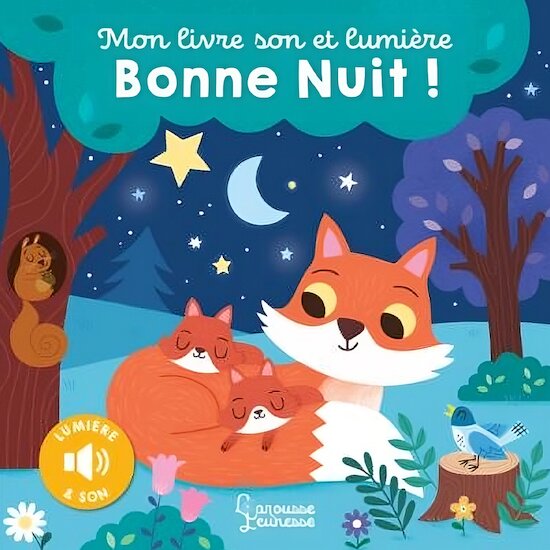 Mon livre son et lumière, Bonne nuit !   de               Larousse