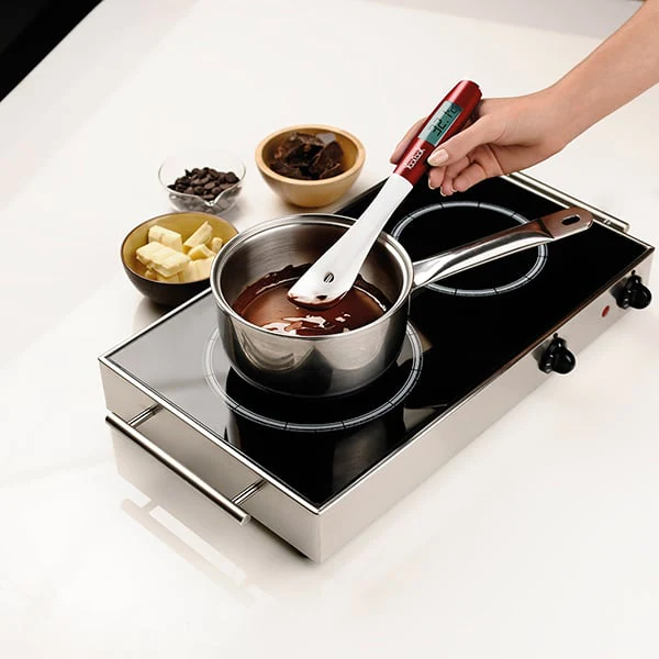 Kit chocolats de Pâques : casserole bain marie + thermosonde + moule p