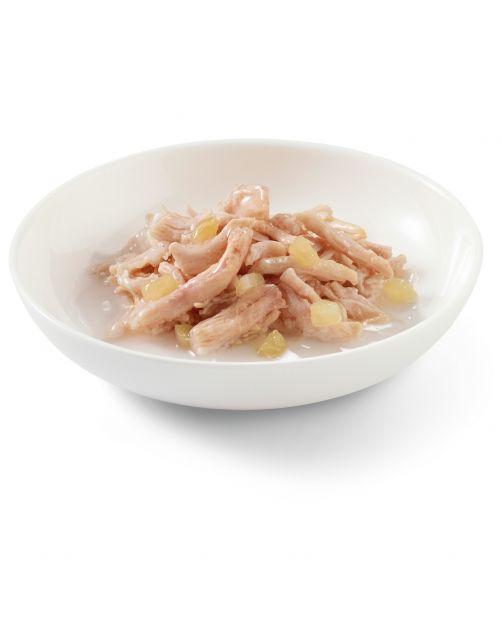 Schesir Kat Blik Gelei 75 g - Kattenvoer