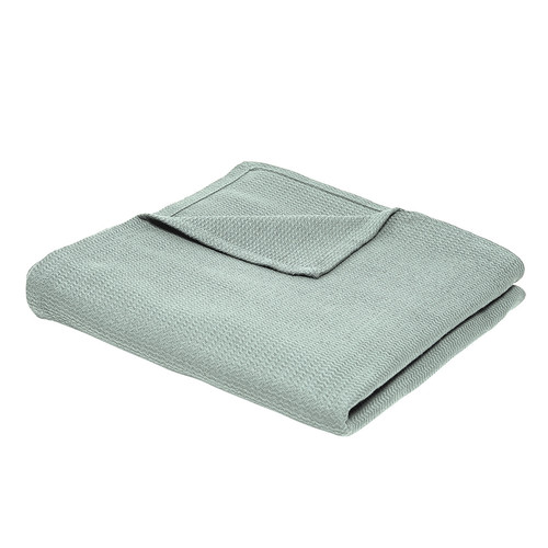 Today - PAONO - Celadon