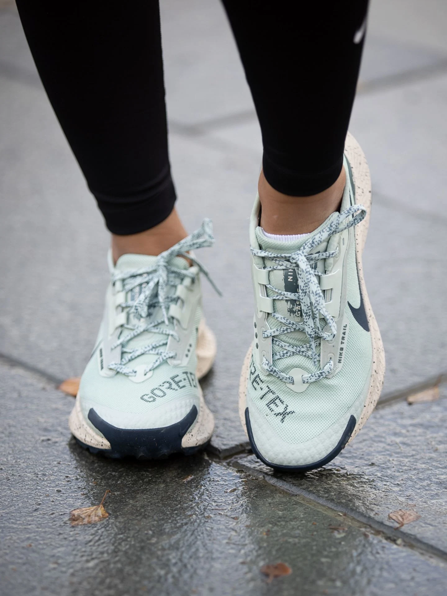 Pegasus Trail 3 GTX