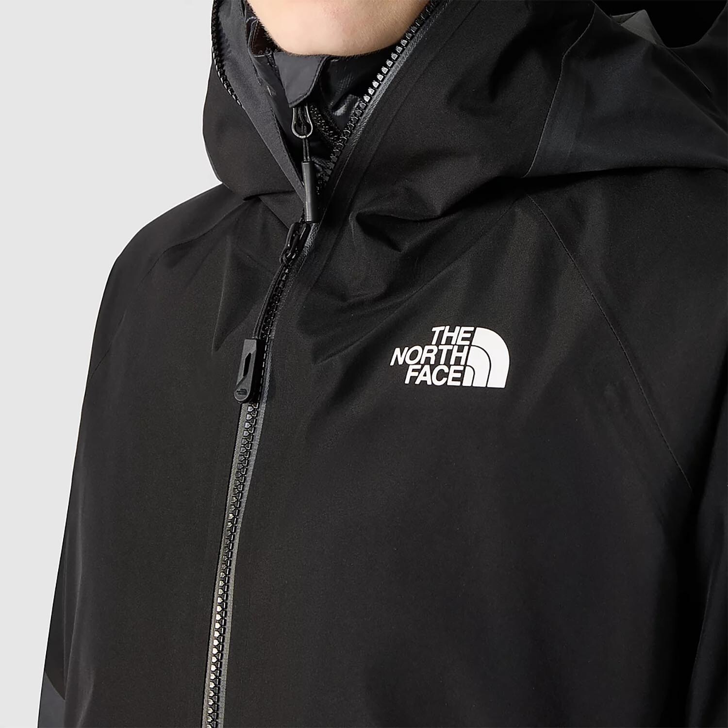 The North Face Mens Jazzi GTX Jacket