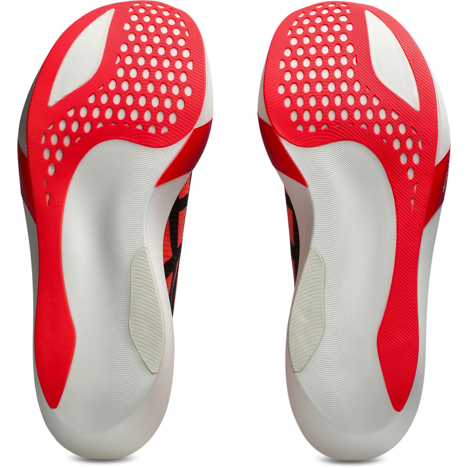 ASICS Metaspeed Sky Tokyo
