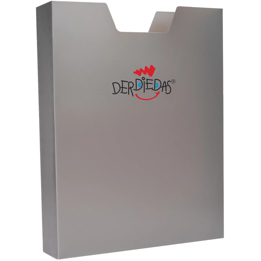 DerDieDas ErgoFlex Max - Schulranzen Set 5tlg. 950 g Speed Challenge