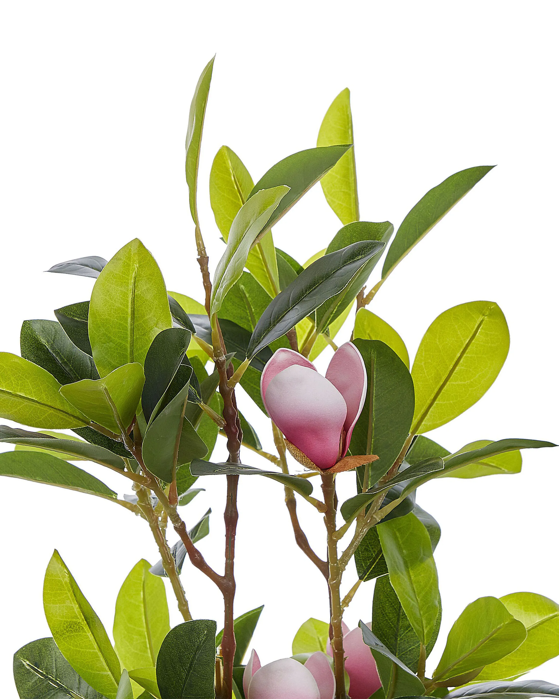 Kunstplant MAGNOLIA 70 cm Groen