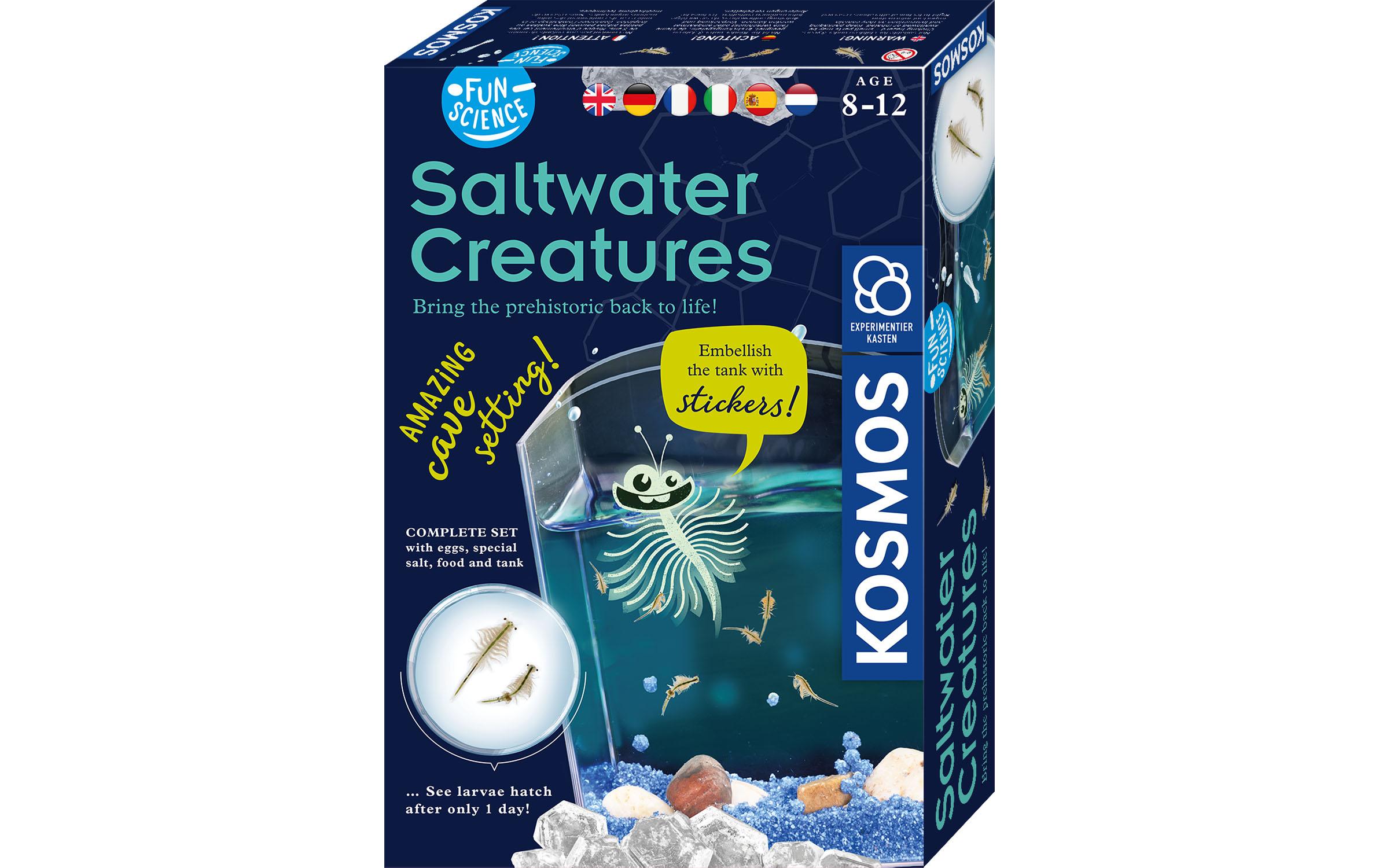 Experimentierkasten Saltwater CreaturesSalzkrebse selber züchten