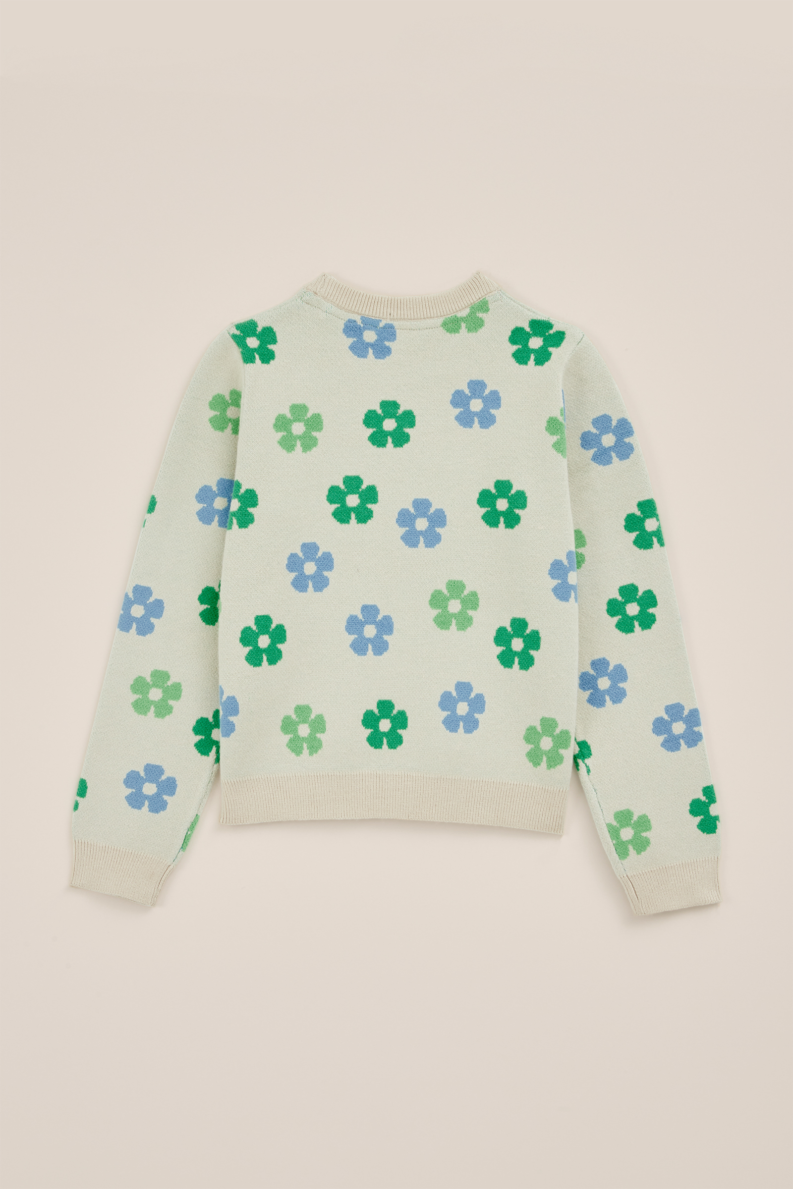 Meisjes trui met dessin WE Fashion Mintgroen