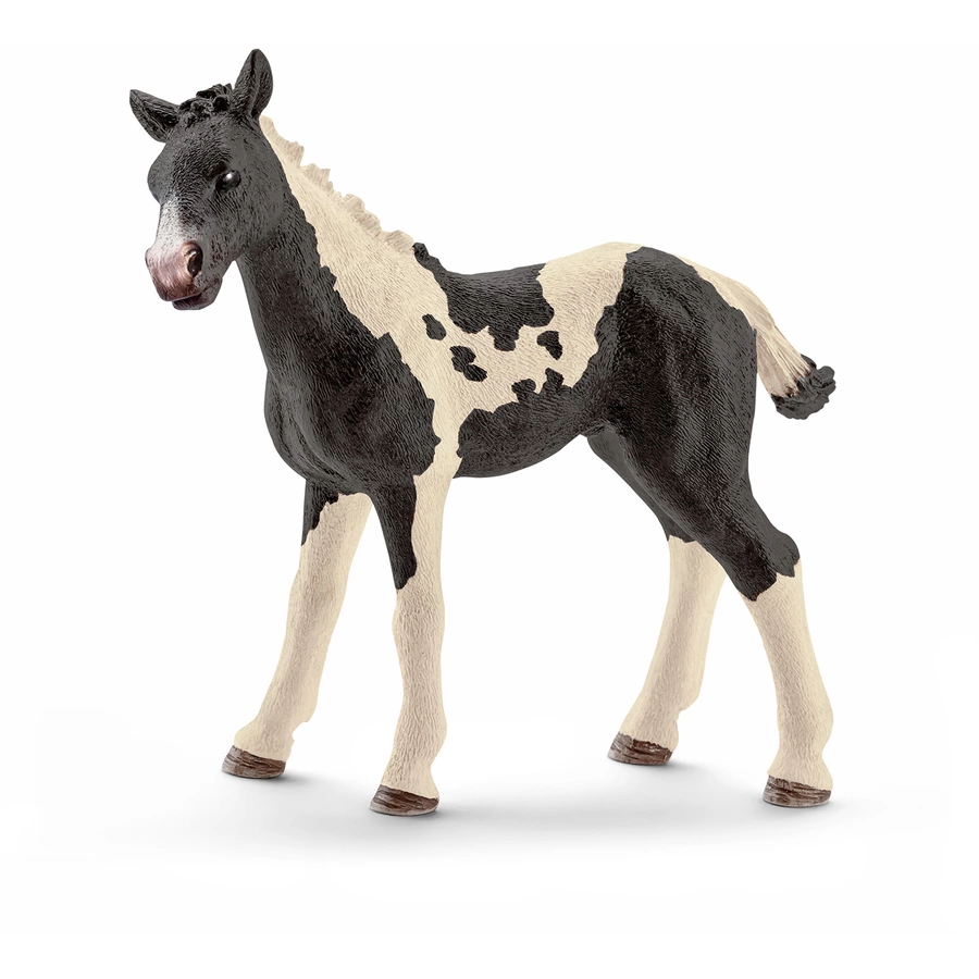 schleich® Pinto Fohlen 13803