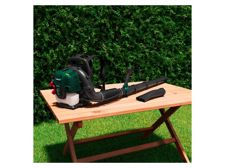 Benzine bladblazer 1600 W
